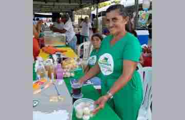 Agricultores familiares aumentam renda em 30% com programa federal